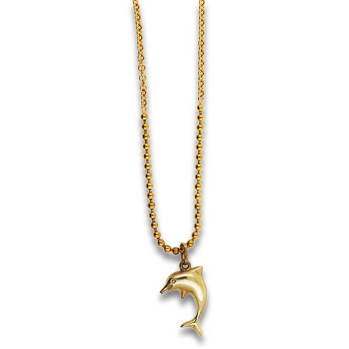 Delfin anhänger mit - anhänger, kette